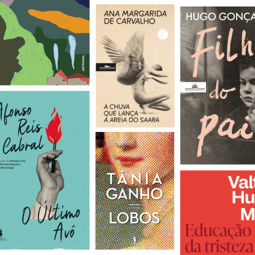 10 livros que a equipa da Livraria Lello adorou ler em 2025