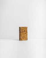 Epitome de la Vida, Acciones y Milagros de S. António