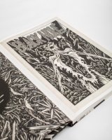 Charles Burns's Black Hole: The Fantagraphics Studio Edition