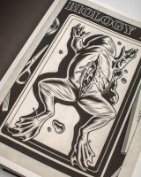 Charles Burns's Black Hole: The Fantagraphics Studio Edition